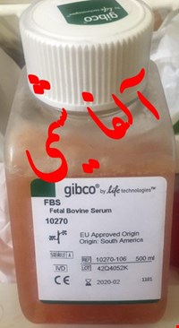  فتال بوین سرم گیبکو, Gibco code:10270-106 Fetal Bovine Serum, FBS Gibco Invitrogen سی سی500