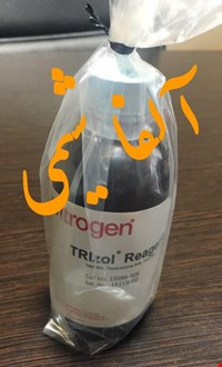 ترایزول گیبکو 100سی سی  TriZOL invitrogen  کد026-15596 Invitrogen TRIzol Reagent 