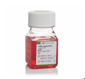 تریپسین ادتا 0.05% با فنول رد گیبکو با کد 056-25300, Gibco code:25300-056 Trypsin-EDTA (0.05%),phenol red